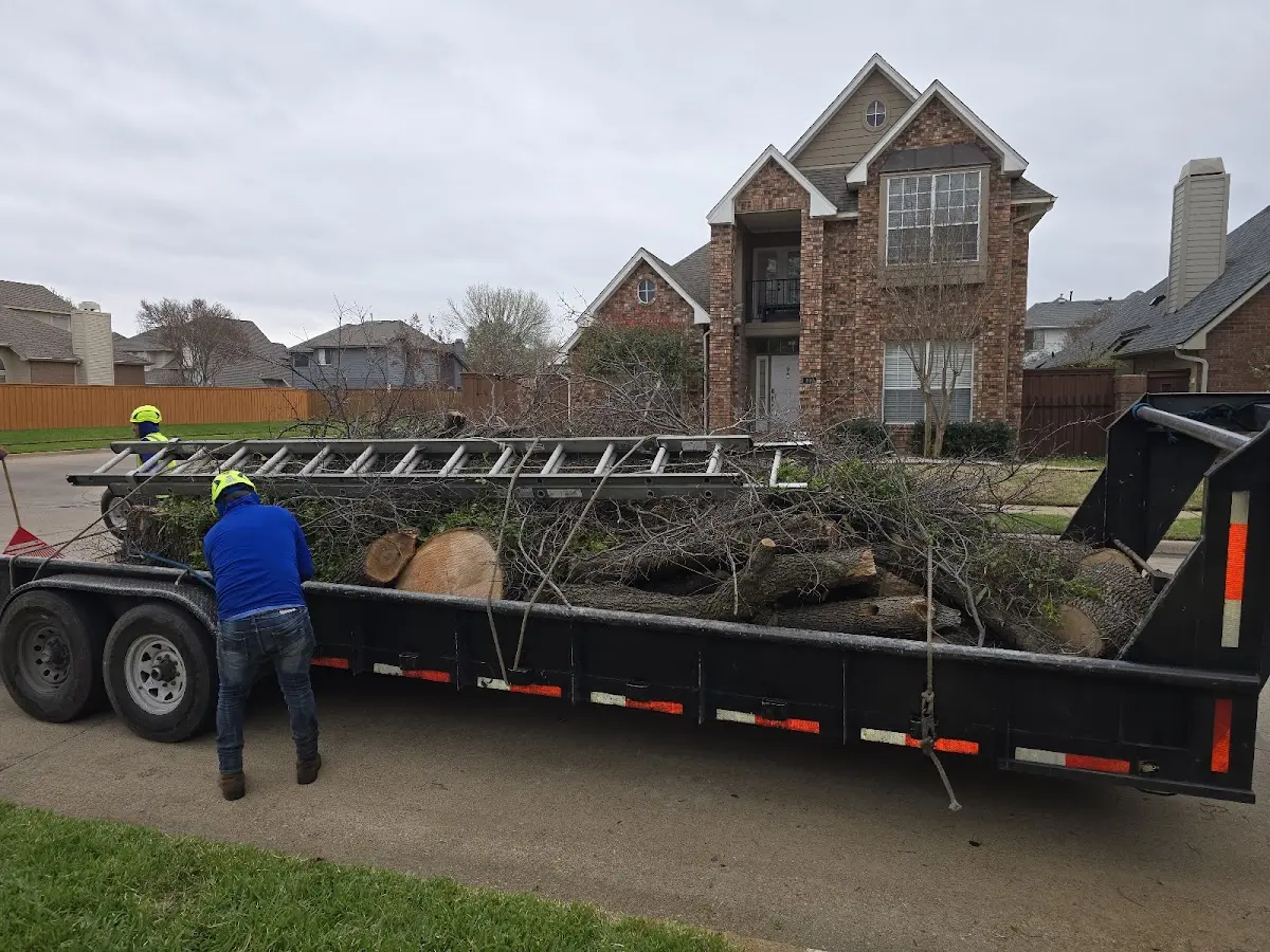 Expert Tree Fertilization with proper safety equipment in Tipton
